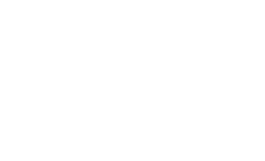 Serratus Guides